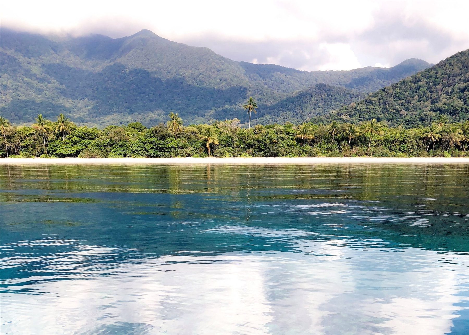 Cape Tribulation beach where the rainforest meets the reef