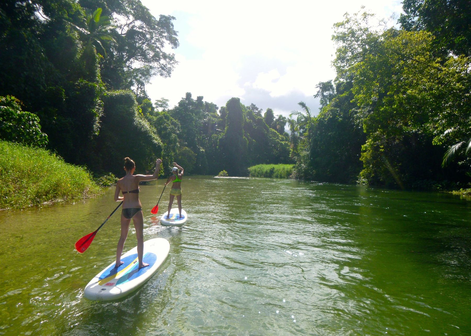 Paddle boarding the Mossman River